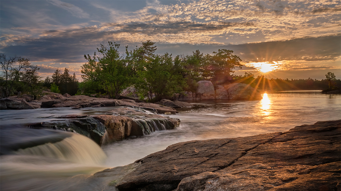 A river flowing through rocky terrain over a short waterfall with pine trees in the background.