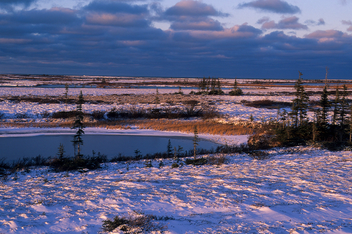 The Hudson Bay Lowlands
