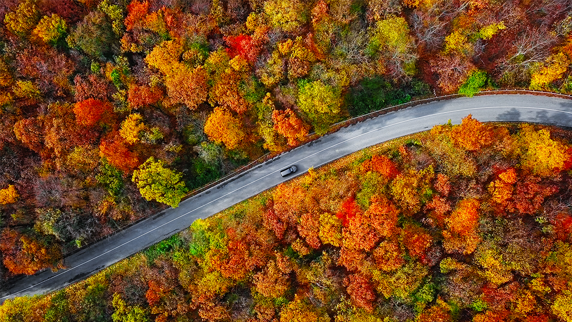 Aerial view of a road in a forest with leaves changing colour.