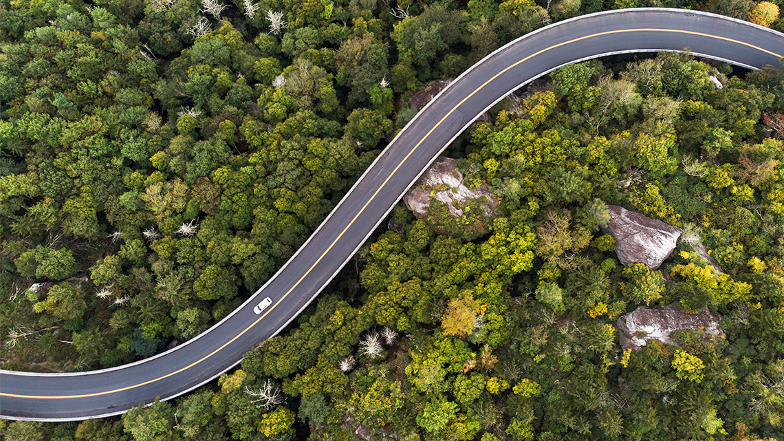 Aerial view of a road in a forest. 