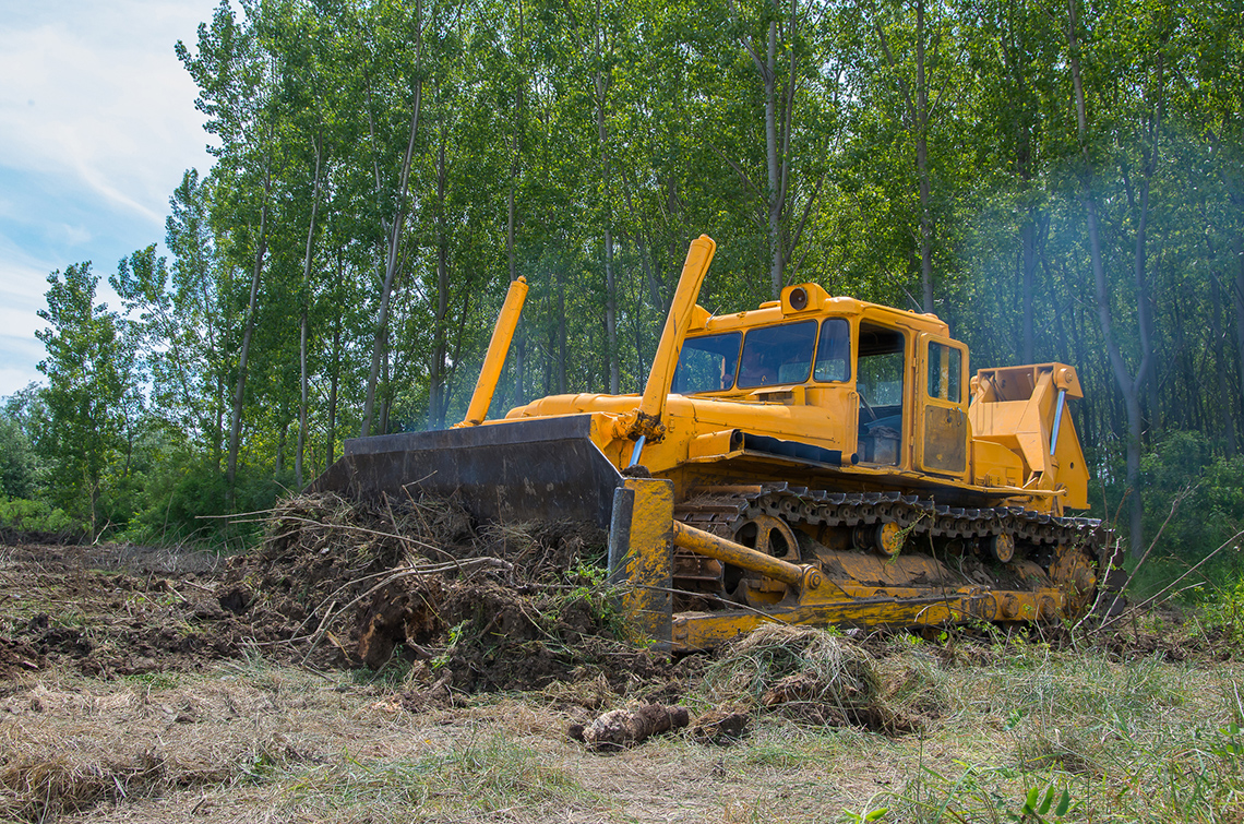 A bulldozer tears out the ground to clear a forest.