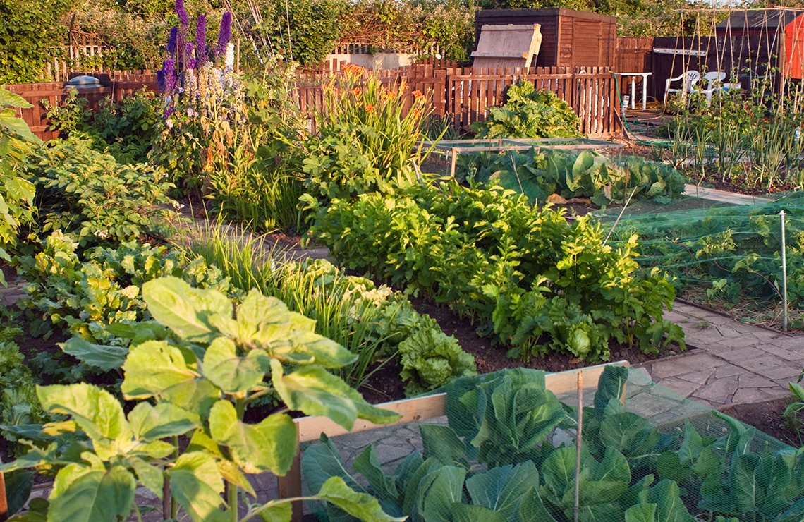 A public garden with many types of flowers, fruits, and vegetables growing.