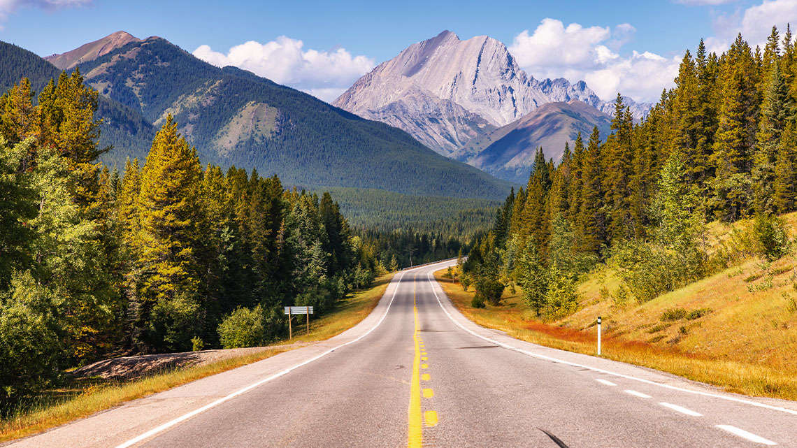 A road in Alberta leads to a very tall mountain in a forest.