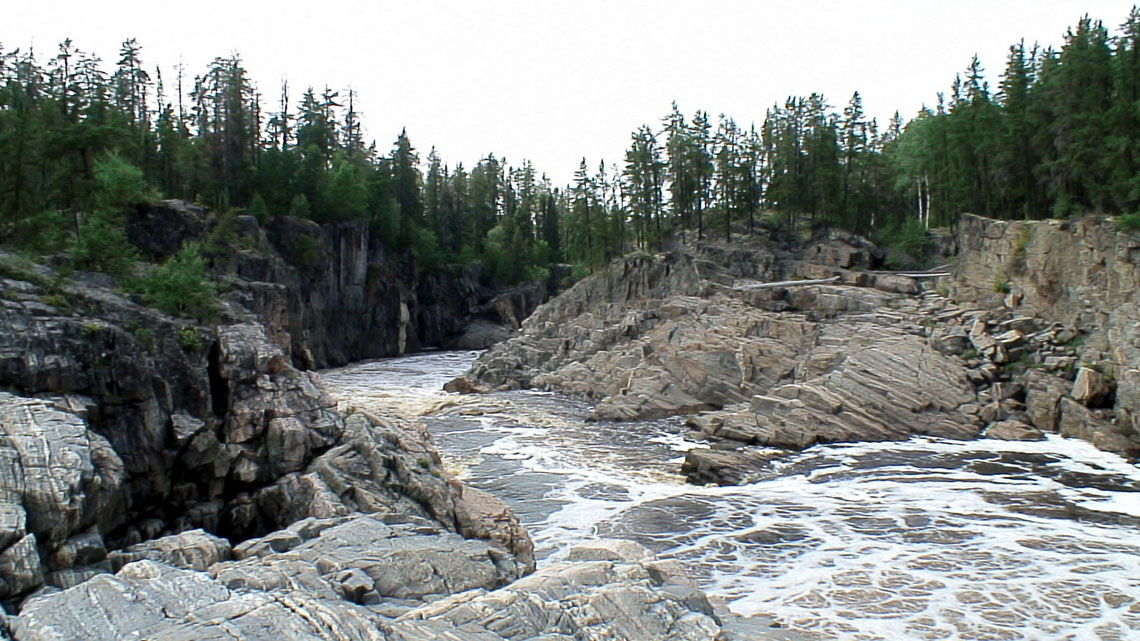 A river flowing through rocky terrain with pine trees in the background.