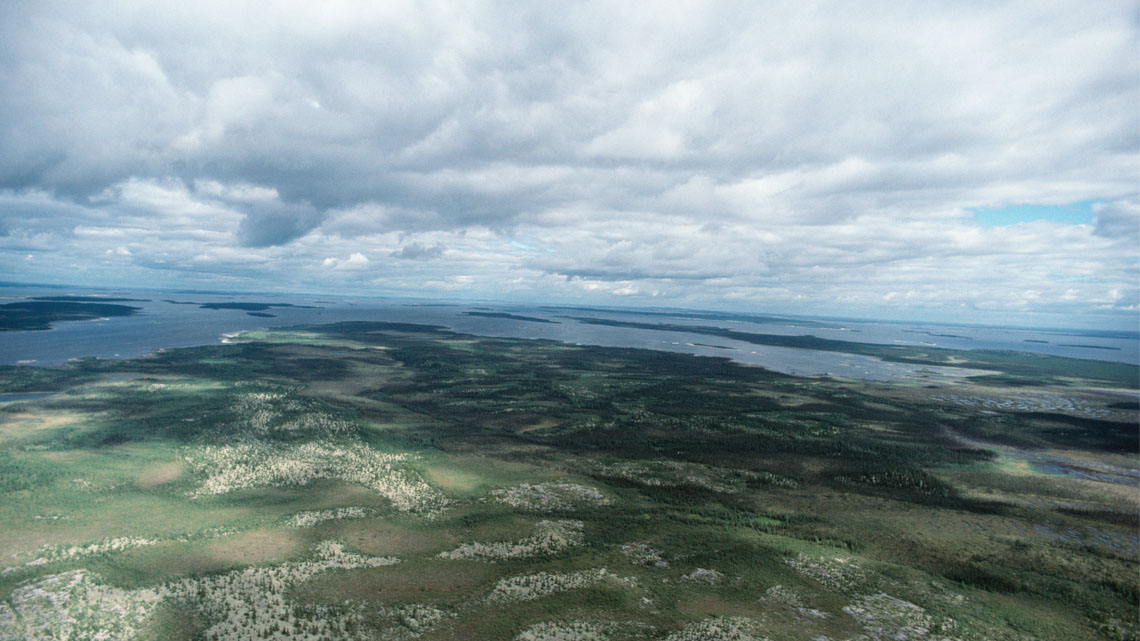 Aerial view small lakes among forests with a coast in the background.