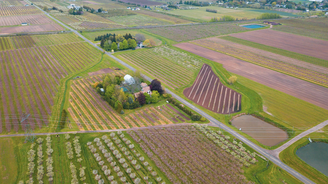 Aerial view of farms growing many types of crops.