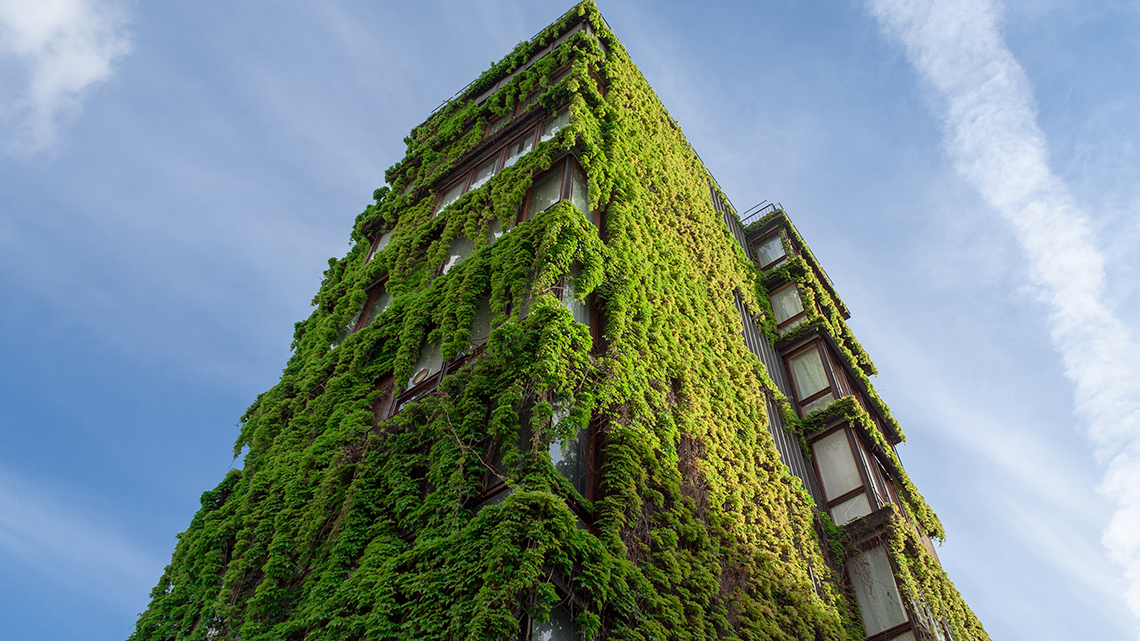 The exterior of an apartment building is covered in green plants.