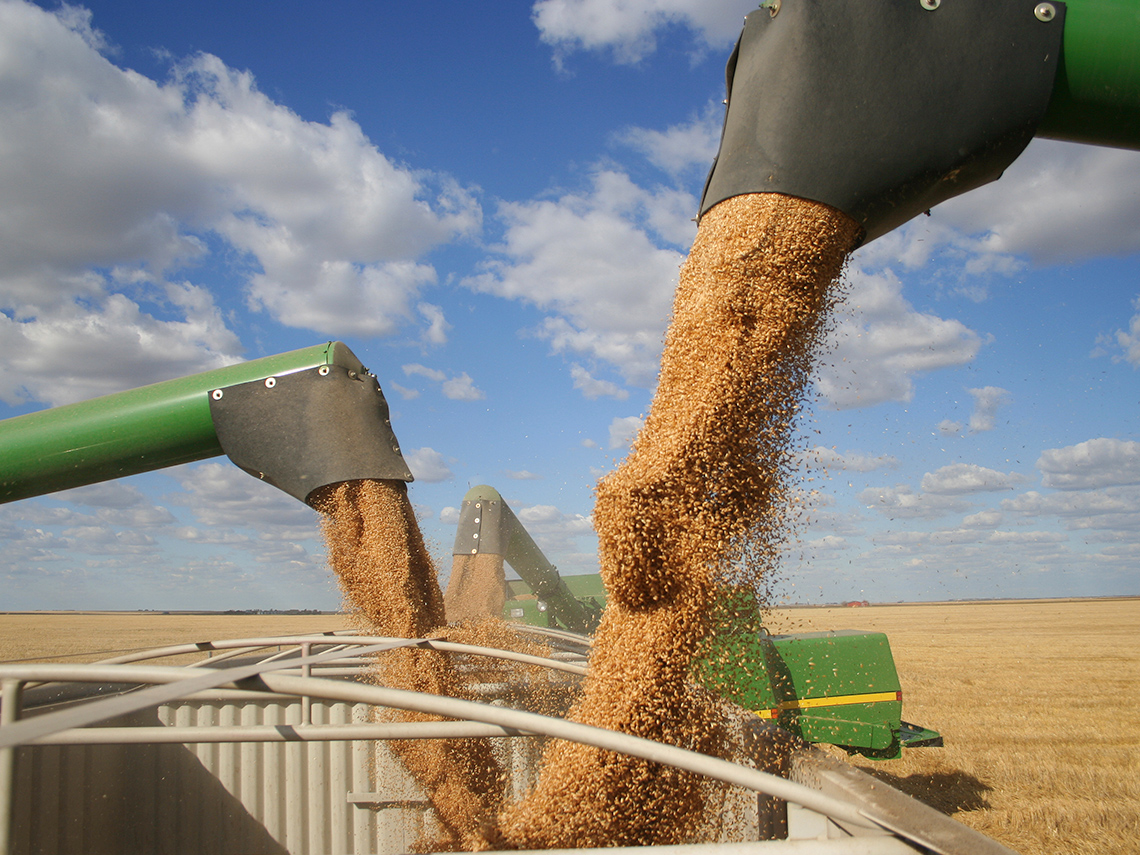 Three metal arms pour harvested grain into a container on a truck.