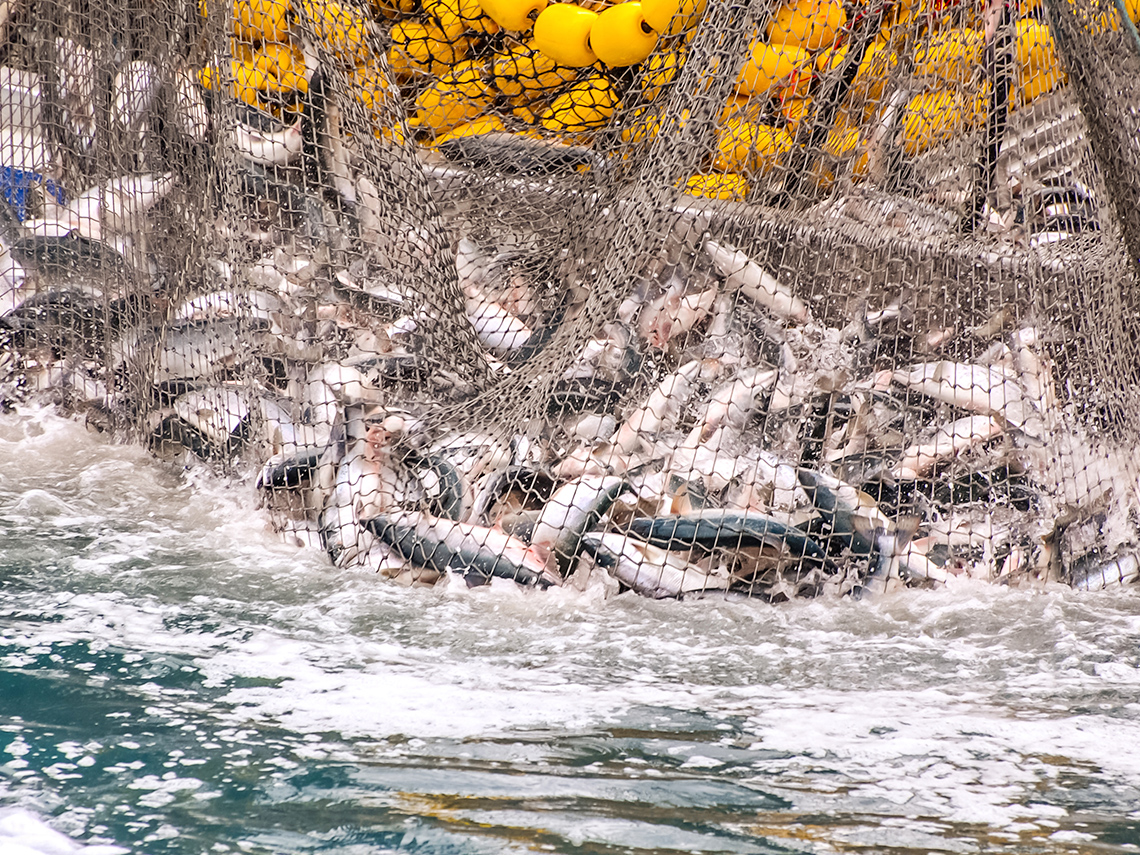 A boat full of fish with a lighthouse on a rocky hill in the background.