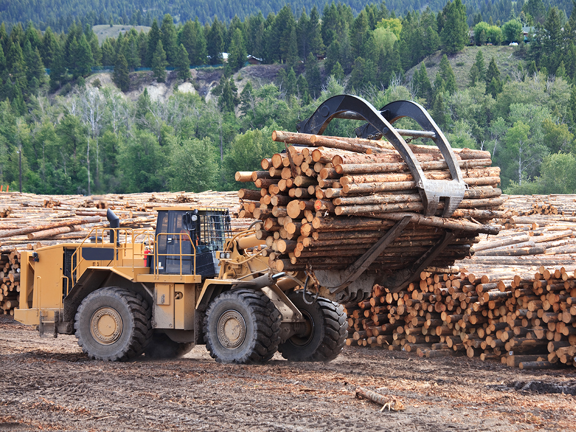 A machine carries many logs in a big metal claw.