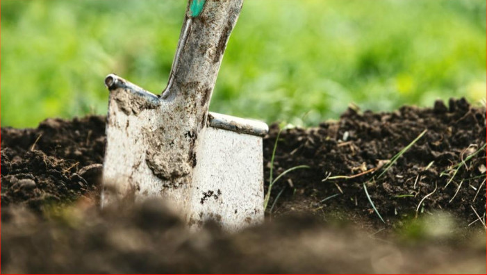 This is an image of a shovel in the soil.